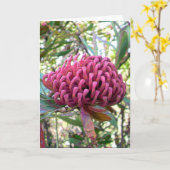 waratah kaart (Gele Bloem)