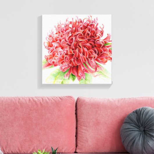 Waratah rode bloem botanica kunst canvas afdruk (Insitu (Woonkamer))