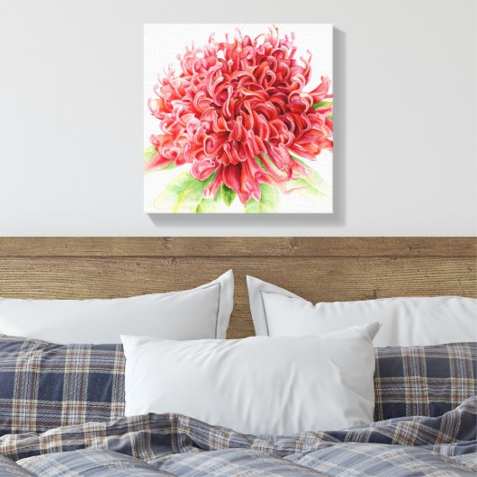 Waratah rode bloem botanica kunst canvas afdruk (Insitu (Slaapkamer))