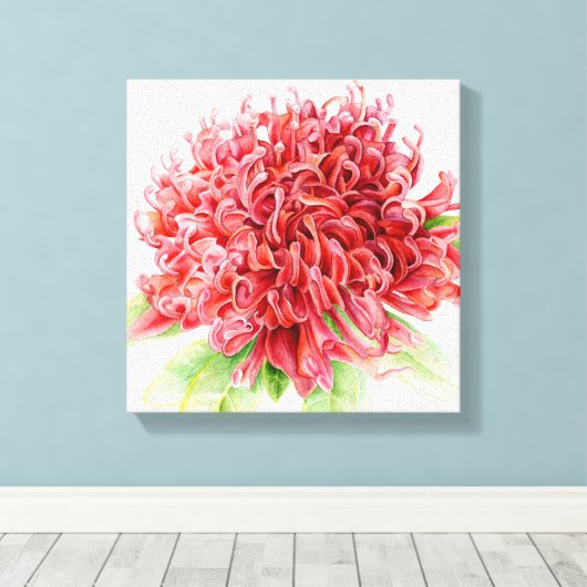 Waratah rode bloem botanica kunst canvas afdruk (Insitu (Houten vloer))