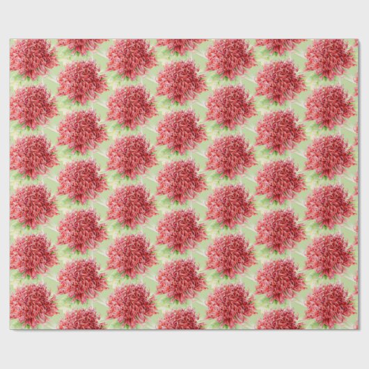 Waratah rode botanica waterverf kunst wrap cadeaupapier (Vlak)