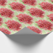 Waratah rode botanica waterverf kunst wrap cadeaupapier (Hoek)