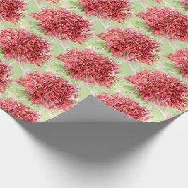 Waratah rode botanica waterverf kunst wrap cadeaupapier