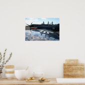 Warbird Poster (Keuken)