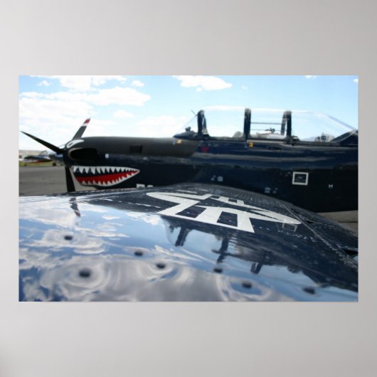 Warbird Poster (Voorkant)