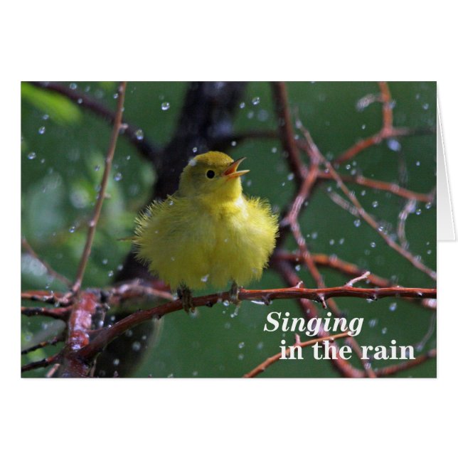 Warbler (Voorkant Horizontaal)