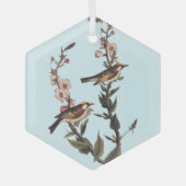 Warbler Audubon Bird op Wildflower Glas Ornament (Voorkant)