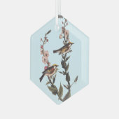 Warbler Audubon Bird op Wildflower Glas Ornament (Voorkant links)