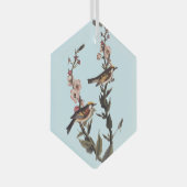 Warbler Audubon Bird op Wildflower Glas Ornament (Voorkant Rechts)