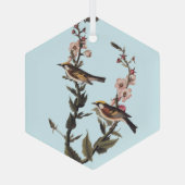 Warbler Audubon Bird op Wildflower Glas Ornament (Achterkant)