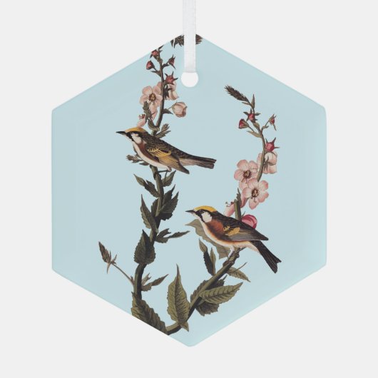 Warbler Audubon Bird op Wildflower Glas Ornament (Achterkant)