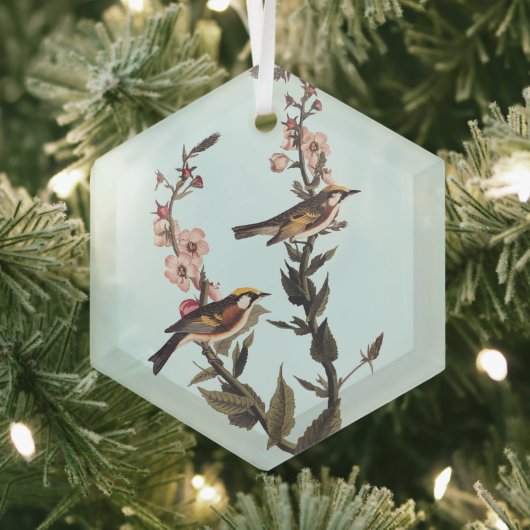 Warbler Audubon Bird op Wildflower Glas Ornament (Insitu)