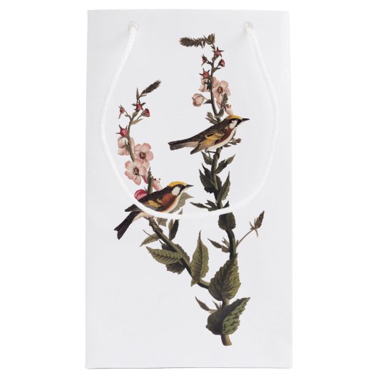 Warbler Audubon Bird op Wildflower Klein Cadeauzakje (Achterkant)