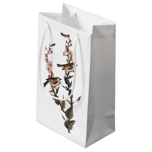 Warbler Audubon Bird op Wildflower Klein Cadeauzakje (Achterkant Gekanteld)