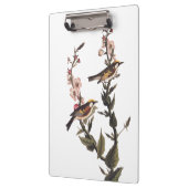 Warbler Audubon Bird op Wildflower Klembord (Links)