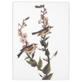 Warbler Audubon Bird op Wildflower Klembord (Achterkant)