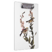 Warbler Audubon Bird op Wildflower Klembord (Rechts)