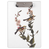 Warbler Audubon Bird op Wildflower Klembord (Voorkant)