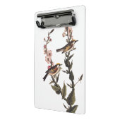 Warbler Audubon Bird op Wildflower Mini Klembord (Angled2)