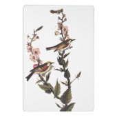 Warbler Audubon Bird op Wildflower Mini Klembord (Achterkant)