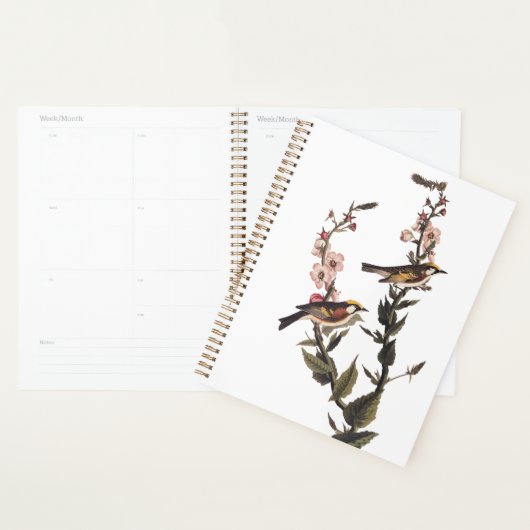 Warbler Audubon Bird op Wildflower Planner (Display)