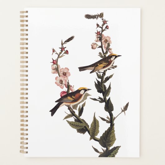 Warbler Audubon Bird op Wildflower Planner (Voorkant)