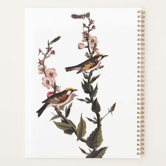 Warbler Audubon Bird op Wildflower Planner (Achterkant)