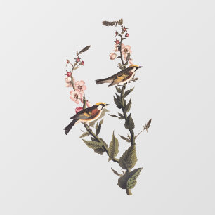Warbler Audubon Bird op Wildflower Raamsticker