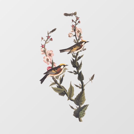 Warbler Audubon Bird op Wildflower Raamsticker (Vel)