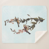 Warbler Audubon Bird op Wildflower Sherpa Deken (Voorkant (horizontaal))