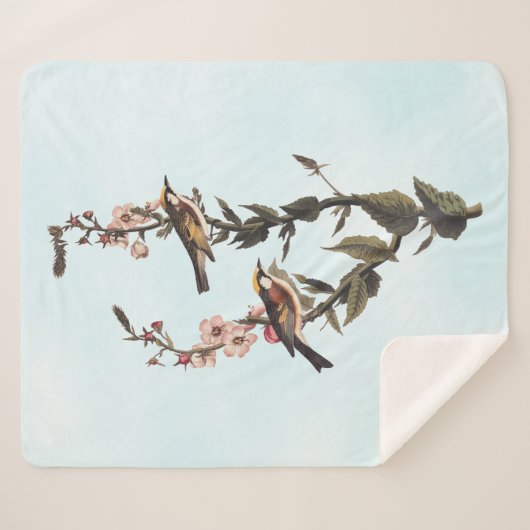 Warbler Audubon Bird op Wildflower Sherpa Deken (Voorkant (horizontaal))