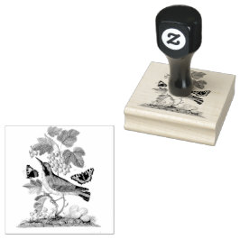 Warbler Bird Eggs Cocoon Scrapbooking Rubberstempel