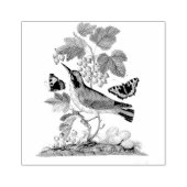 Warbler Bird Eggs Cocoon  Scrapbooking Rubberstempel (Afrduk)