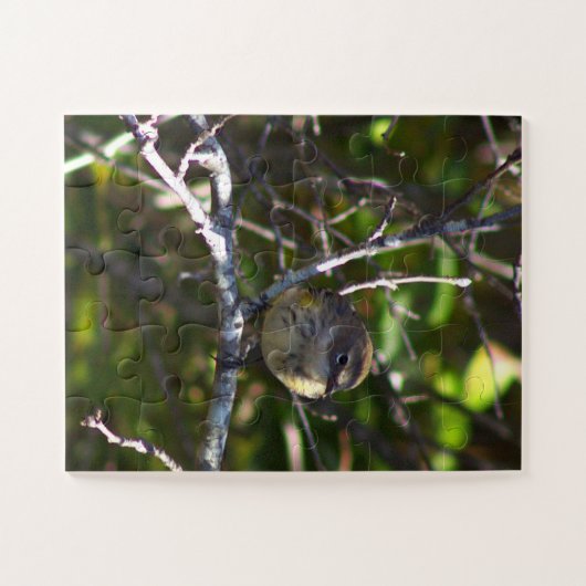 Warbler Bird Photo Puzzle  Legpuzzel (Horizontaal)
