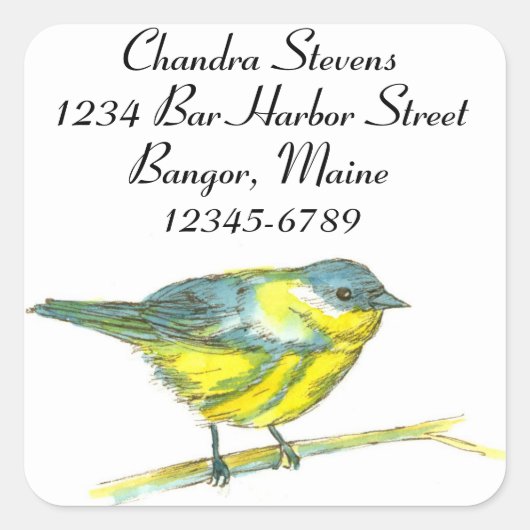 Warbler Bird Waterverf retouradres Vierkante Sticker (Voorkant)