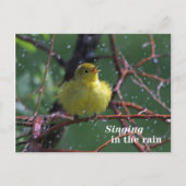 Warbler Briefkaart (Voorkant)