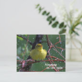 Warbler Briefkaart (Staand voorkant)