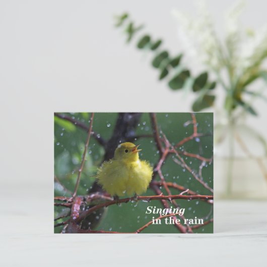 Warbler Briefkaart (Staand voorkant)