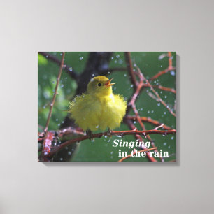 Warbler Canvas Afdruk