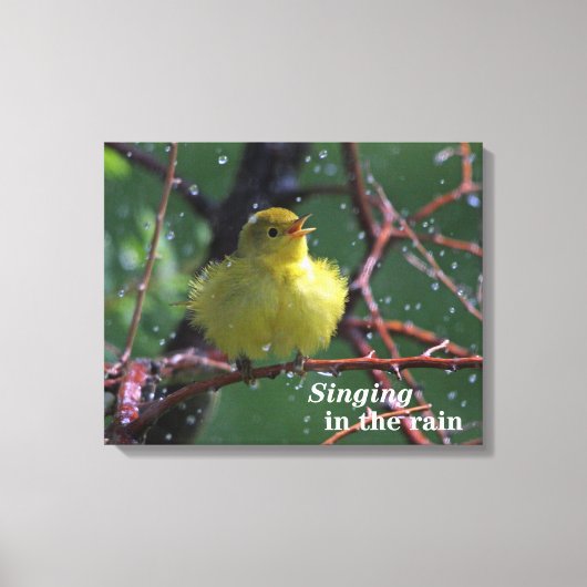 Warbler Canvas Afdruk (Voorkant)