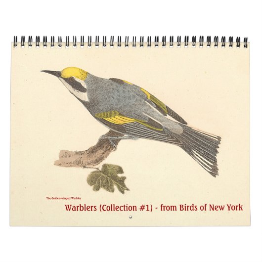 Warbler Collectie #1 Lithografieën van vogels van Kalender (Hoes)
