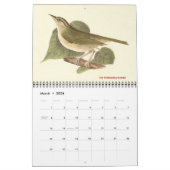 Warbler Collectie #1 Lithografieën van vogels van Kalender (Mar 2026)