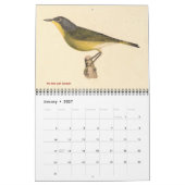 Warbler Collectie #2 Lithografen van vogels van NY Kalender (Jan 2027)