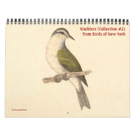 Warbler Collectie #2 Lithografen van vogels van NY Kalender