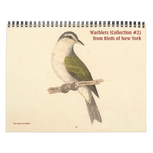 Warbler Collectie #2 Lithografen van vogels van NY Kalender (Hoes)