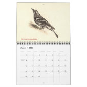 Warbler Collectie #2 Lithografen van vogels van NY Kalender (Mar 2026)