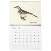 Warbler Collectie #2 Lithografen van vogels van NY Kalender (Feb 2026)