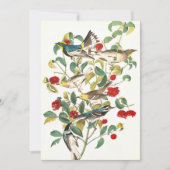 Warbler door John James Audubon Bedankkaart (Voorkant)