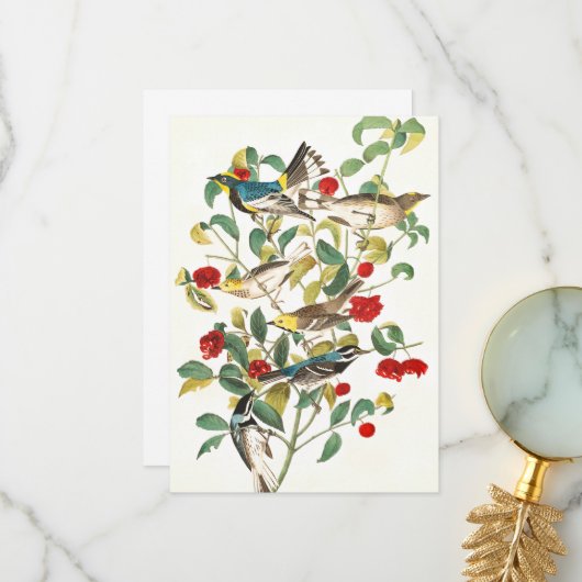 Warbler door John James Audubon Bedankkaart (Voorkant / Achterkant in situ)