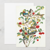 Warbler door John James Audubon Bedankkaart (Voorkant / Achterkant)
